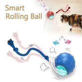 Automatic Rolling Cat Ball Toy – Rechargeable Interactive Toy with Bird Sounds