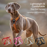 Anti-Pull Dog Harness & Leash Set – Reflective No-Pull Walking Harness