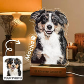 Personalized Pet Photo Night Light – Custom Acrylic Dog & Cat Memorial Lamp