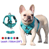 Dog Harness & Leash Set – Adjustable Vest Harness for Small Breeds