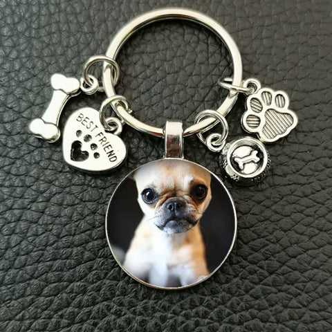 Cute animal beagle pug dog glass cabochon poodle teddy art picture glass dome DIY handmade jewelry key chain