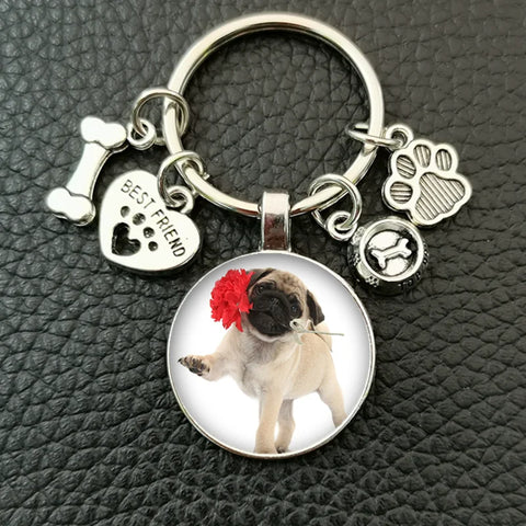 Cute animal beagle pug dog glass cabochon poodle teddy art picture glass dome DIY handmade jewelry key chain