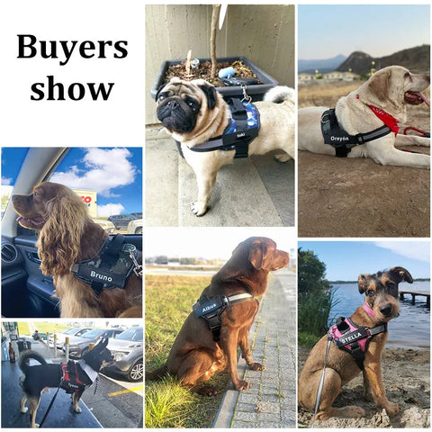 Personalized No-Pull Dog Harness – Reflective Breathable Vest with Custom Patch