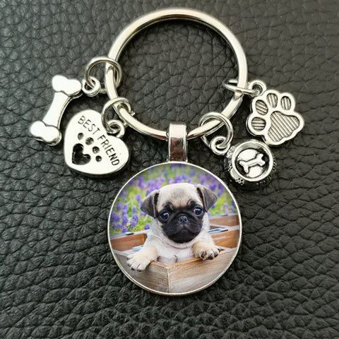 Cute animal beagle pug dog glass cabochon poodle teddy art picture glass dome DIY handmade jewelry key chain