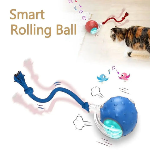 Automatic Rolling Cat Ball Toy – Rechargeable Interactive Toy with Bird Sounds