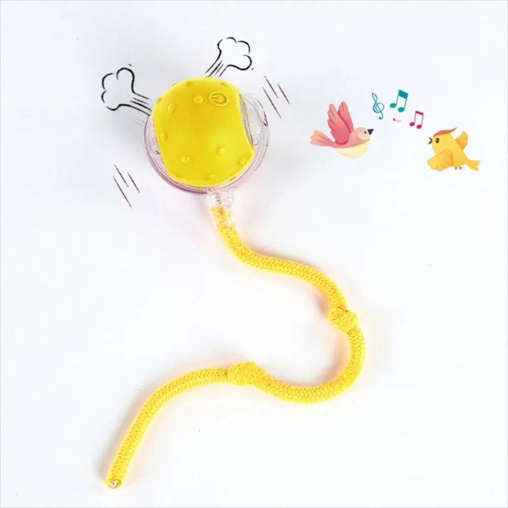 Automatic Rolling Cat Ball Toy – Rechargeable Interactive Toy with Bird Sounds