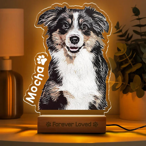 Personalized Pet Photo Night Light – Custom Acrylic Dog & Cat Memorial Lamp