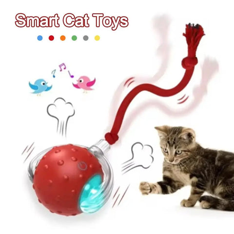 Automatic Rolling Cat Ball Toy – Rechargeable Interactive Toy with Bird Sounds