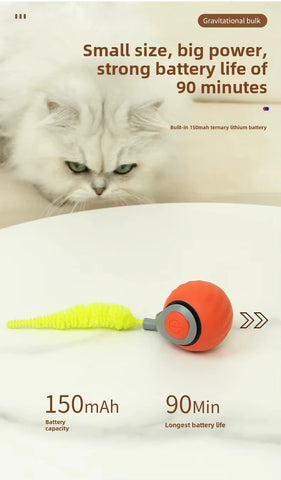 Speedy Tail 2.0 Interactive Cat Toy – USB Rechargeable Motion Ball