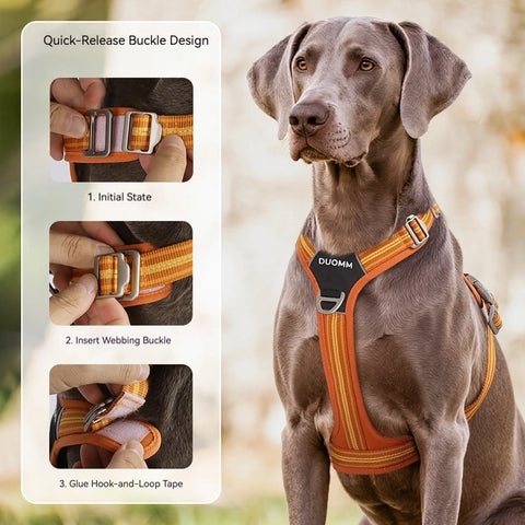 Anti-Pull Dog Harness & Leash Set – Reflective No-Pull Walking Harness