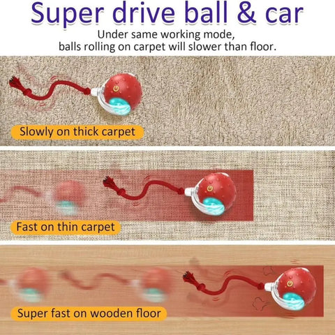Automatic Rolling Cat Ball Toy – Rechargeable Interactive Toy with Bird Sounds