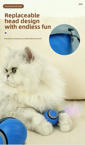 Speedy Tail 2.0 Interactive Cat Toy – USB Rechargeable Motion Ball