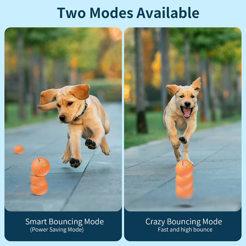 Smart Interactive Dog Ball – USB Rechargeable LED Bouncing Toy