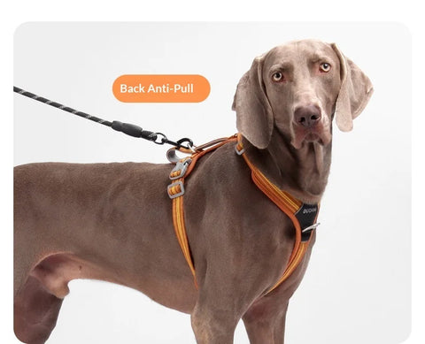 Anti-Pull Dog Harness & Leash Set – Reflective No-Pull Walking Harness