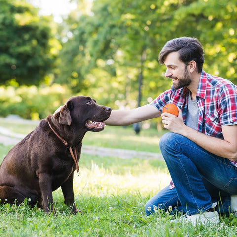 Smart Interactive Dog Ball – USB Rechargeable LED Bouncing Toy