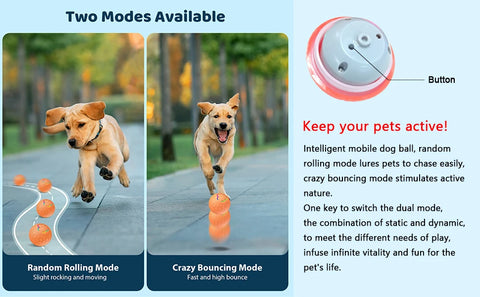 Smart Interactive Dog Ball – USB Rechargeable LED Bouncing Toy