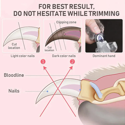Professional LED Light Pet Nail Clippers – Safe Cat & Dog Nail Trimmer