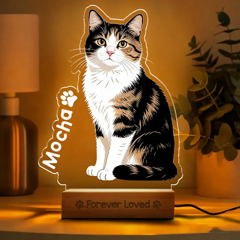 Personalized Pet Photo Night Light – Custom Acrylic Dog & Cat Memorial Lamp