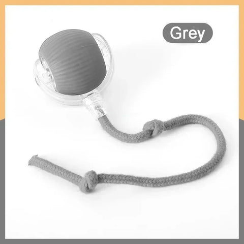 Speedy Tail 2.0 Interactive Cat Toy – USB Rechargeable Motion Ball