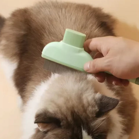 One-Button Self-Cleaning Pet Comb – Hair Remover for Cats & Dogs