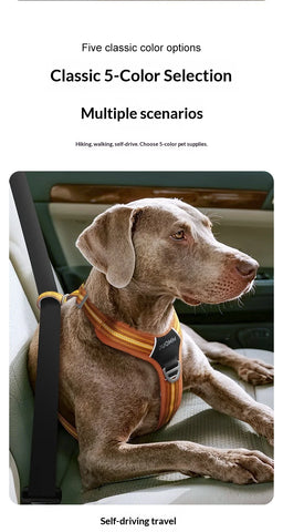 Anti-Pull Dog Harness & Leash Set – Reflective No-Pull Walking Harness