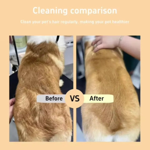 One-Button Self-Cleaning Pet Comb – Hair Remover for Cats & Dogs