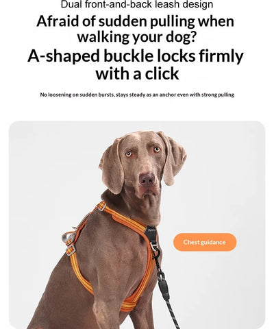 Anti-Pull Dog Harness & Leash Set – Reflective No-Pull Walking Harness