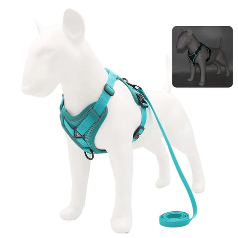 Dog Harness & Leash Set – Adjustable Vest Harness for Small Breeds