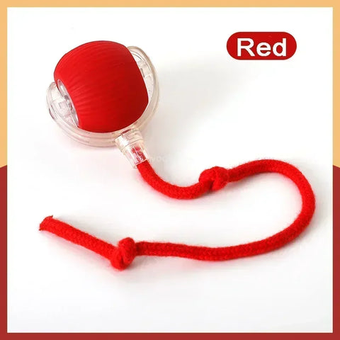 Speedy Tail 2.0 Interactive Cat Toy – USB Rechargeable Motion Ball