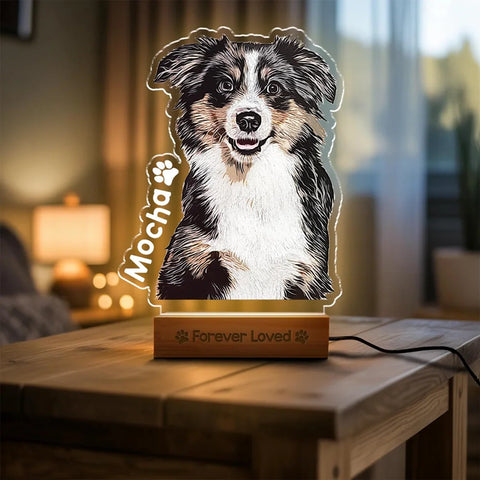 Personalized Pet Photo Night Light – Custom Acrylic Dog & Cat Memorial Lamp