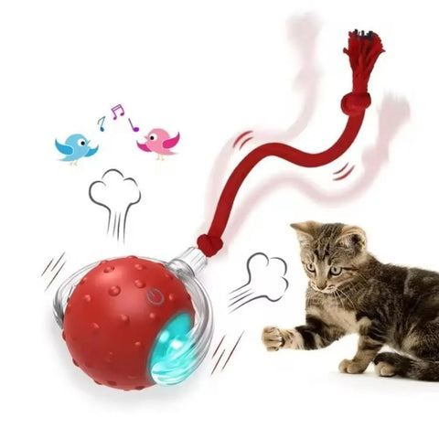 Automatic Rolling Cat Ball Toy – Rechargeable Interactive Toy with Bird Sounds
