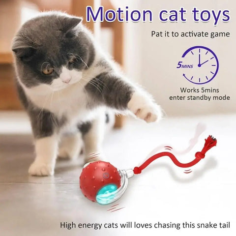 Automatic Rolling Cat Ball Toy – Rechargeable Interactive Toy with Bird Sounds