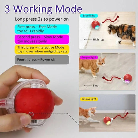 Automatic Rolling Cat Ball Toy – Rechargeable Interactive Toy with Bird Sounds