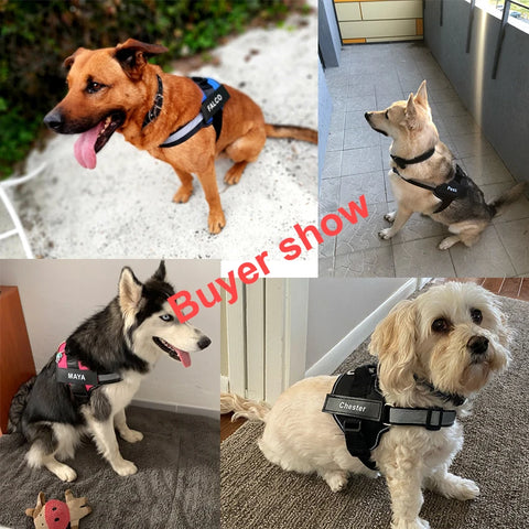 Personalized No-Pull Dog Harness – Reflective Breathable Vest with Custom Patch
