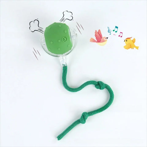 Automatic Rolling Cat Ball Toy – Rechargeable Interactive Toy with Bird Sounds
