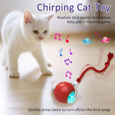 Automatic Rolling Cat Ball Toy – Rechargeable Interactive Toy with Bird Sounds