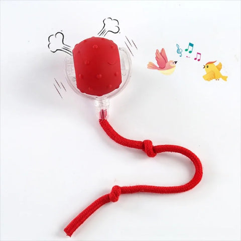 Automatic Rolling Cat Ball Toy – Rechargeable Interactive Toy with Bird Sounds