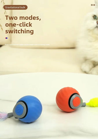 Speedy Tail 2.0 Interactive Cat Toy – USB Rechargeable Motion Ball