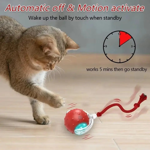 Automatic Rolling Cat Ball Toy – Rechargeable Interactive Toy with Bird Sounds