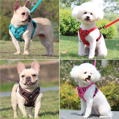 Dog Harness & Leash Set – Adjustable Vest Harness for Small Breeds