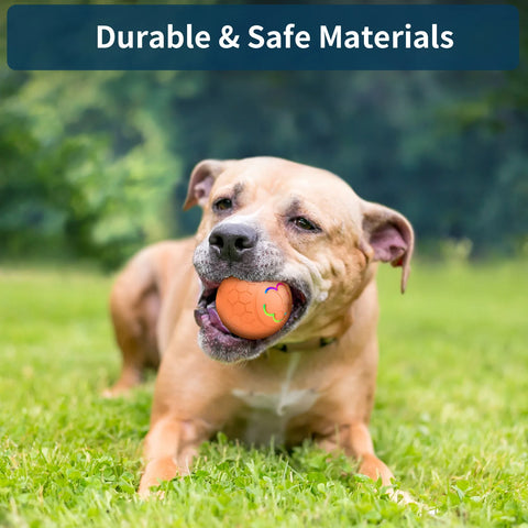 Smart Interactive Dog Ball – USB Rechargeable LED Bouncing Toy