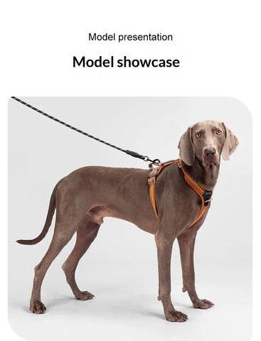 Anti-Pull Dog Harness & Leash Set – Reflective No-Pull Walking Harness