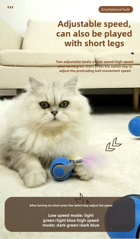 Speedy Tail 2.0 Interactive Cat Toy – USB Rechargeable Motion Ball
