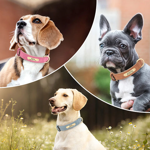 Personalized PU Leather Dog Collar – Custom Engraved ID Nameplate