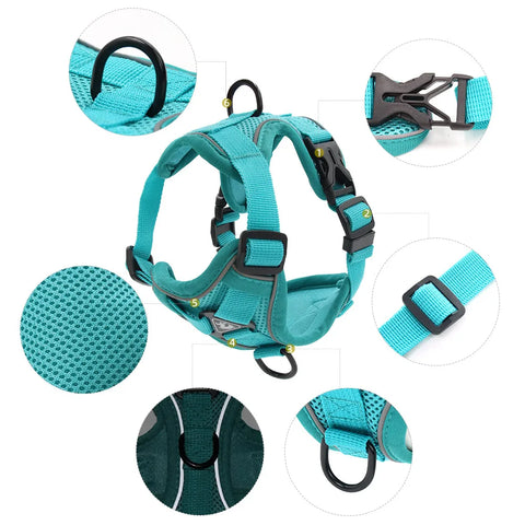 Dog Harness & Leash Set – Adjustable Vest Harness for Small Breeds