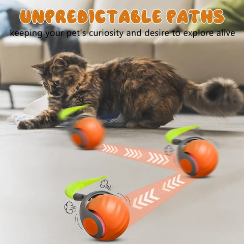 Speedy Tail 2.0 Interactive Cat Toy – USB Rechargeable Motion Ball