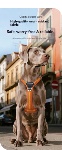 Anti-Pull Dog Harness & Leash Set – Reflective No-Pull Walking Harness