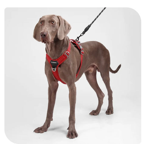 Anti-Pull Dog Harness & Leash Set – Reflective No-Pull Walking Harness