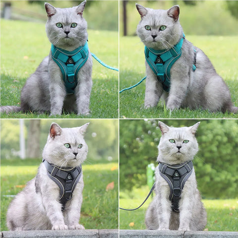 Dog Harness & Leash Set – Adjustable Vest Harness for Small Breeds