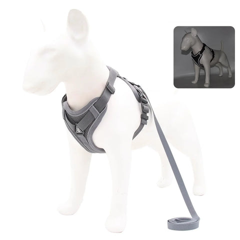 Dog Harness & Leash Set – Adjustable Vest Harness for Small Breeds
